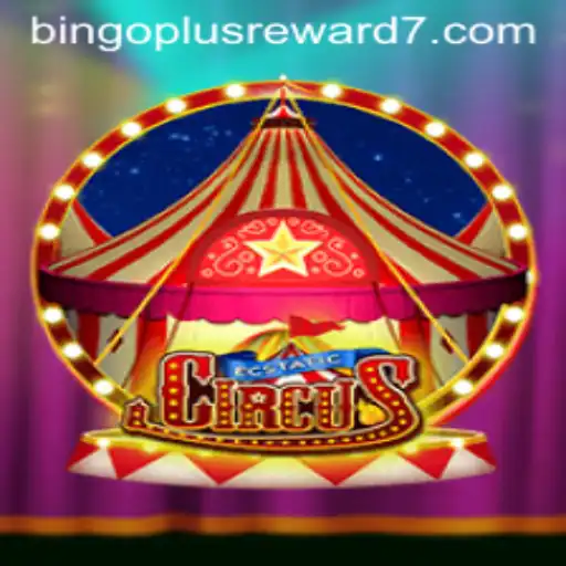 Exploring the Vibrant World of EcstaticCircus and the Exciting Bingoplus Reward System