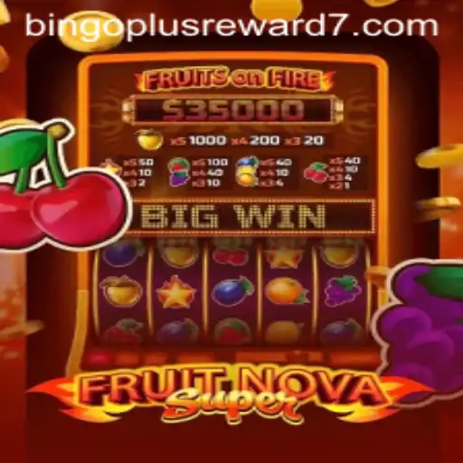 Exploring the Thrills of FruitNovaSuper and Bingoplus Rewards